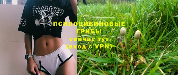 гашик Михайлов