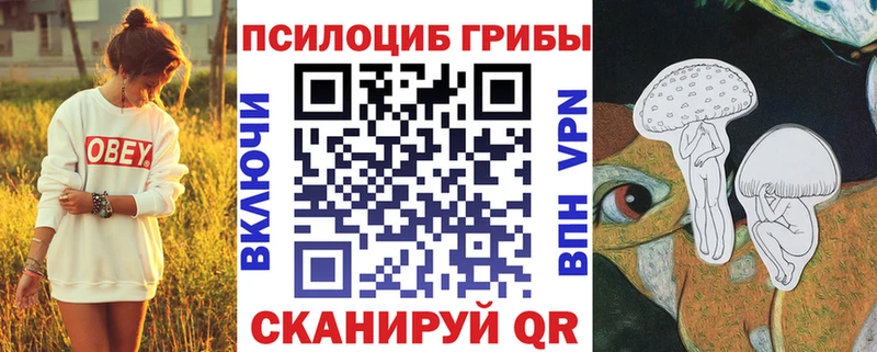 Галлюциногенные грибы Cubensis  мега ссылка  Усть-Кут  где купить наркоту 